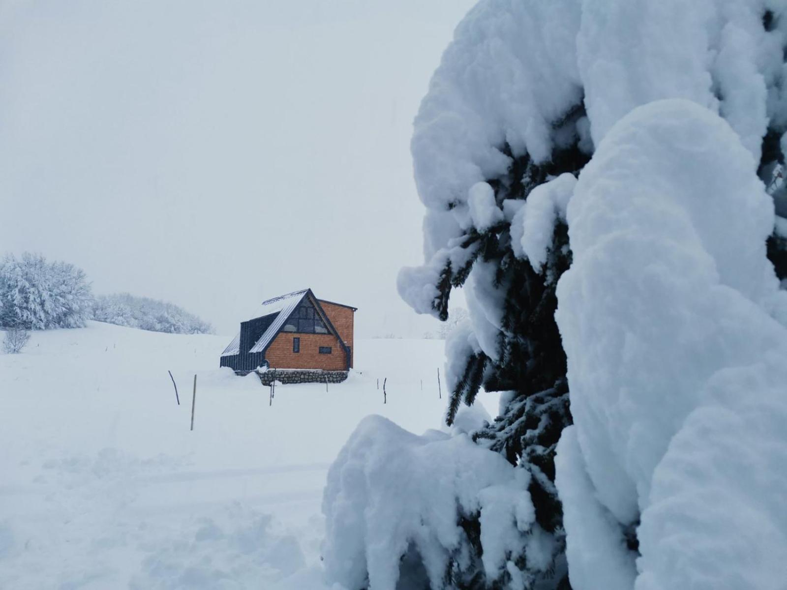 Durmitor Sunset Villa Žabljak Eksteriør bilde